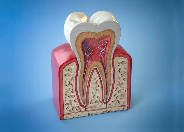Root canal therapy Houston
